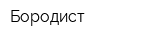 Бородист
