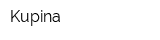 Kupina