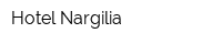 Hotel Nargilia