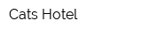 Cats Hotel