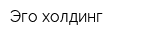 Эго-холдинг