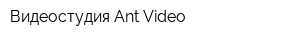 Видеостудия Ant-Video