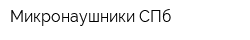 Микронаушники СПб