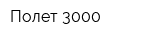 Полет 3000