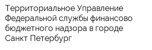 Территориальное Управление Федеральной службы финансово-бюджетного надзора в городе Санкт-Петербург