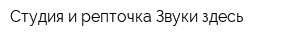 Студия и репточка Звуки здесь