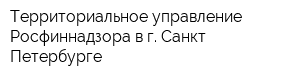 Территориальное управление Росфиннадзора в г Санкт-Петербурге