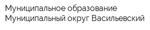 Муниципальное образование Муниципальный округ Васильевский