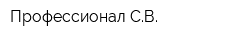 Профессионал-СВ
