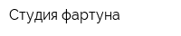 Студия фартуна