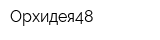 Орхидея48