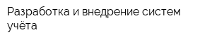 Разработка и внедрение систем учёта