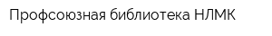 Профсоюзная библиотека НЛМК