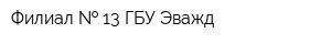 Филиал   13 ГБУ Эважд