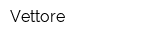 Vettore