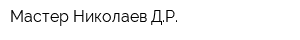 Мастер Николаев ДР