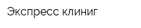Экспресс-клиниг