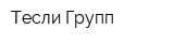 Тесли Групп