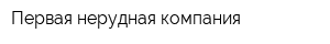 Первая нерудная компания