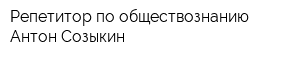 Репетитор по обществознанию Антон Созыкин