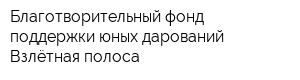 Благотворительный фонд поддержки юных дарований Взлётная полоса