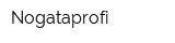 Nogataprofi