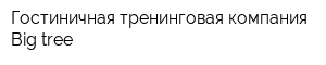 Гостиничная тренинговая компания Big tree