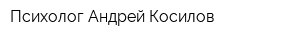 Психолог Андрей Косилов