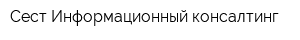 Сест Информационный консалтинг