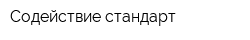 Содействие стандарт