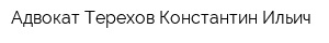 Адвокат Терехов Константин Ильич