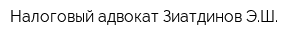 Налоговый адвокат Зиатдинов ЭШ