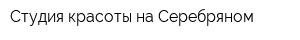 Студия красоты на Серебряном