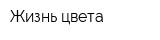 Жизнь цвета