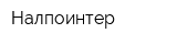 Налпоинтер