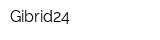 Gibrid24