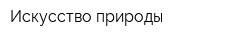 Искусство природы
