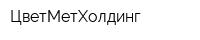 ЦветМетХолдинг