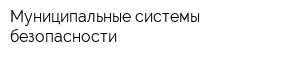 Муниципальные системы безопасности