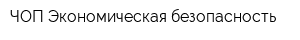 ЧОП Экономическая безопасность