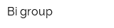 Bi-group