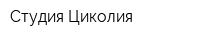 Студия Циколия