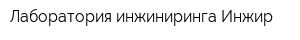 Лаборатория инжиниринга Инжир