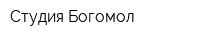 Студия Богомол