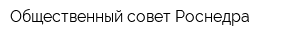 Общественный совет Роснедра
