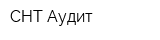 СНТ-Аудит