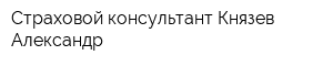 Страховой консультант Князев Александр