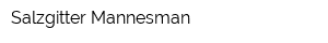 Salzgitter Mannesman