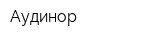Аудинор