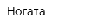 Ногата